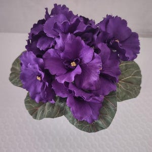 May include: A bouquet of purple artificial flowers with green leaves. The flowers have a velvety texture and are arranged in a cluster.