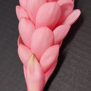 Ginger lily stem. Silk arrangements tropical Hawaiian flowers PINK