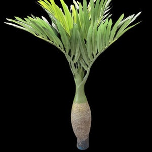 Cute Mini Artificial Bottle Palm Tree, bonsai  (A)