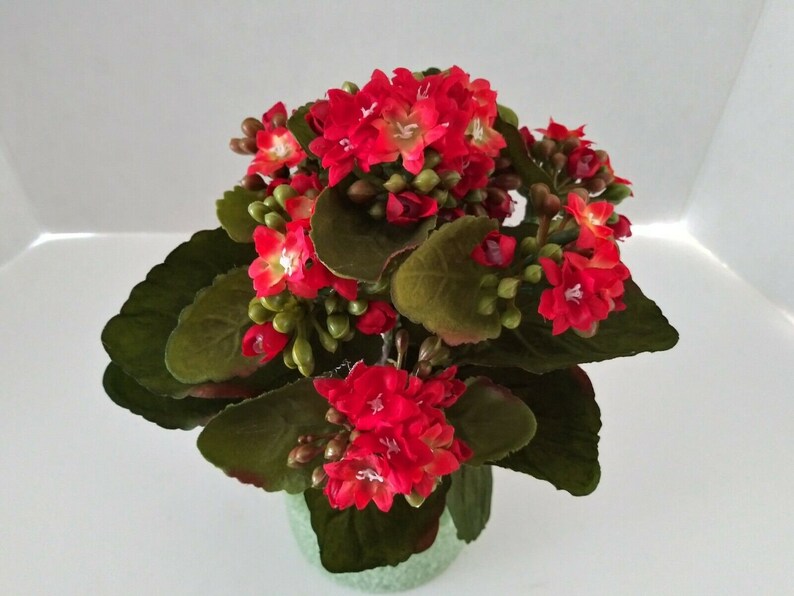 Artificial Kalanchoe Bush. Silk Flower Floral Arrangements RE Etsy