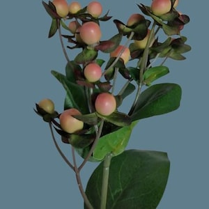 Może przedstawiać: Gałązka sztucznych jagód z różowymi i żółtymi owocami, otoczona zielonymi liśćmi i ciemnozielonymi przysadkami. Jagody są zgrupowane na cienkich, brązowych łodygach, tworząc naturalną, botaniczną estetykę. Tło jest w jednolitym kolorze.