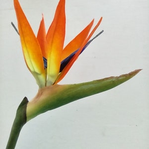 SIX STEMS 31" bird of paradise tropical stem. Silk flower floral arrangements, ORANGE