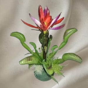 Può includere: Un'originale composizione floreale con un vibrante fiore rosso e viola e trappole per mosche di Venere verdi. La composizione è ambientata su uno sfondo bianco sporco.