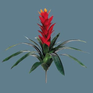 16&quot; Artificial Bromeliad plant W/O pot. Red