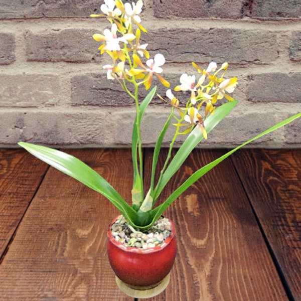 SALE 16"  Artificial mini cattleya orchid plant in ceramic pot