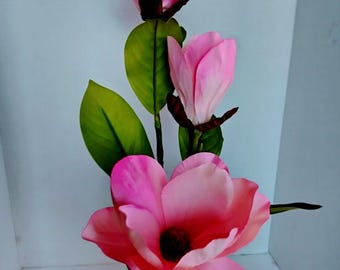 Krzew łodygowy magnolii RÓŻOWY