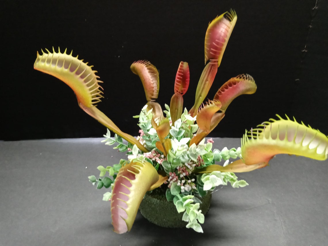 Artificial Venus Fly Trap plant garden. Carnivorous Plants Etsy