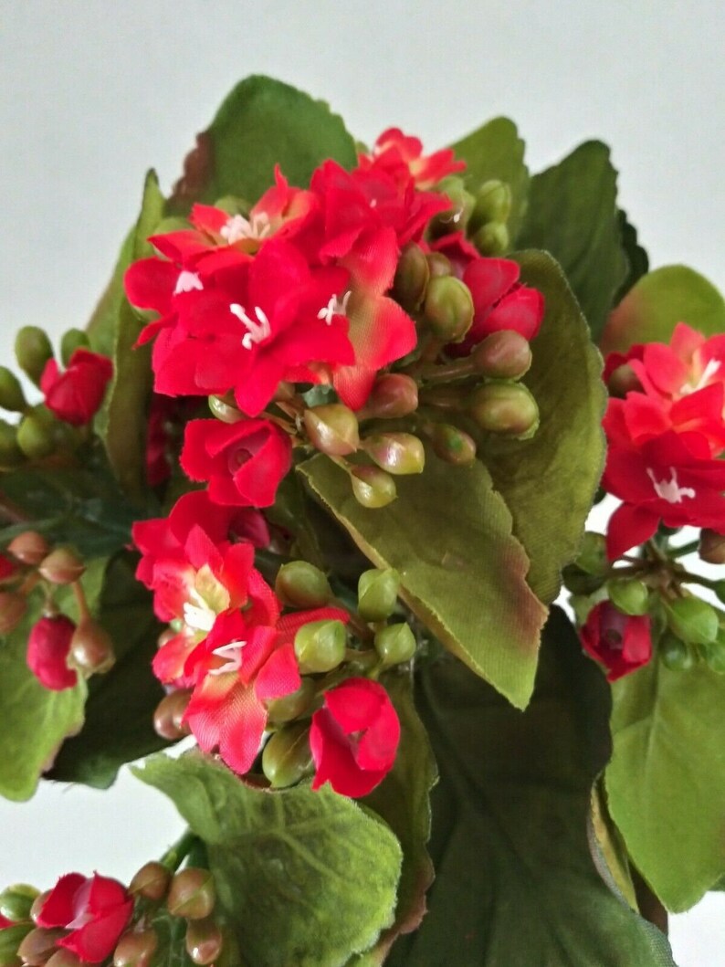 Artificial Kalanchoe Bush. Silk Flower Floral Arrangements RE Etsy