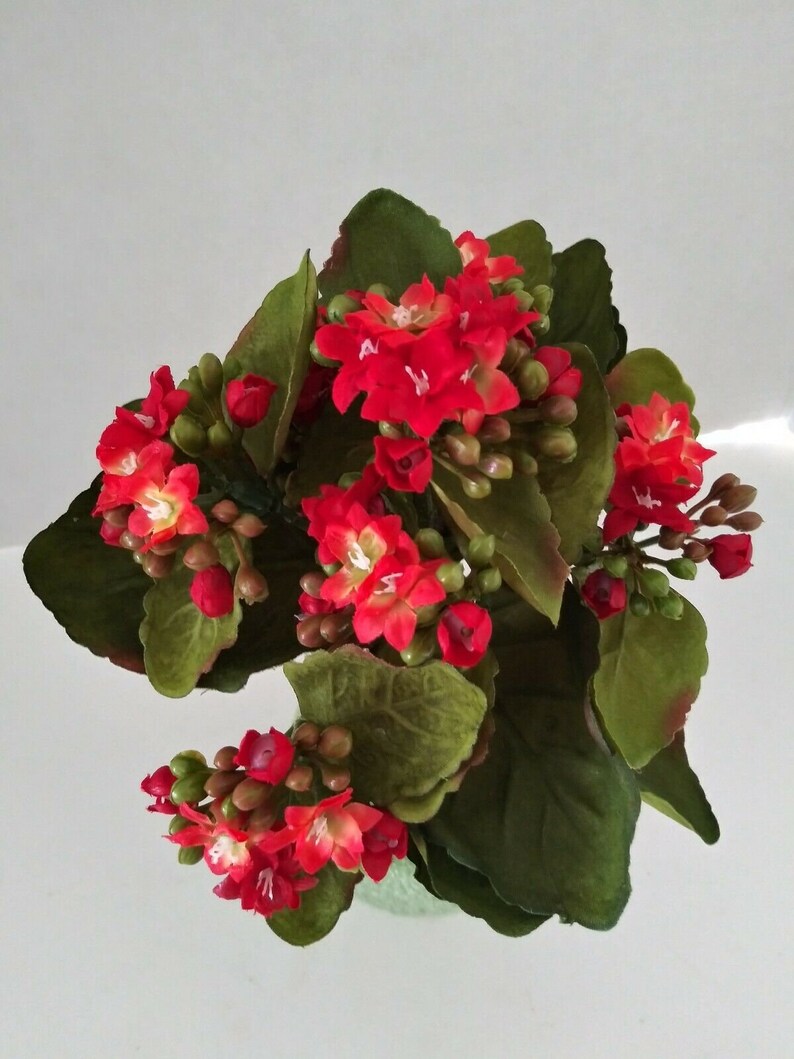 Artificial Kalanchoe Bush. Silk Flower Floral Arrangements RE Etsy