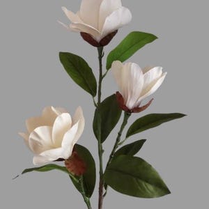 Puede incluir: Un ramo de tres flores blancas de magnolia con hojas verdes. Las flores son artificiales y tienen un aspecto realista.