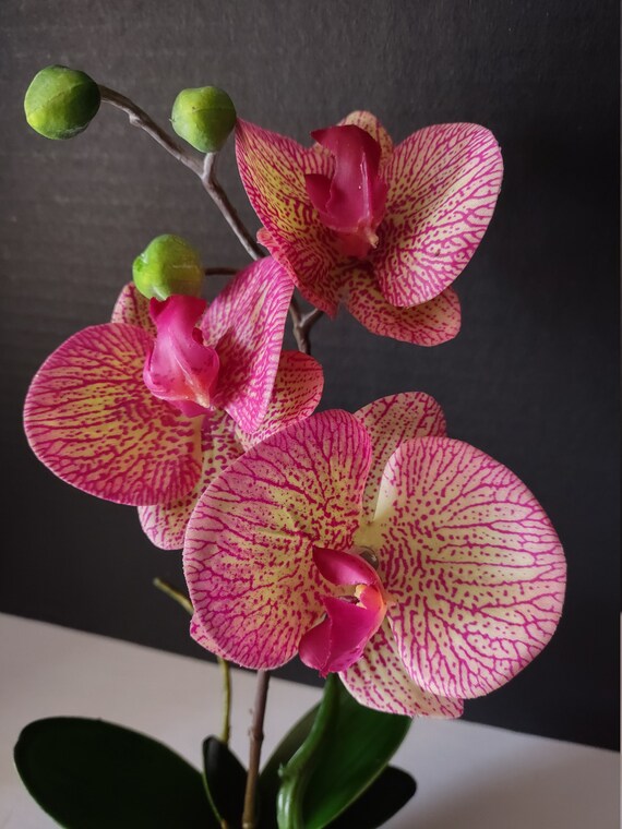 Miniature Artificial phalaenopsis Orchid Silk Orchids RASPBERRY Real