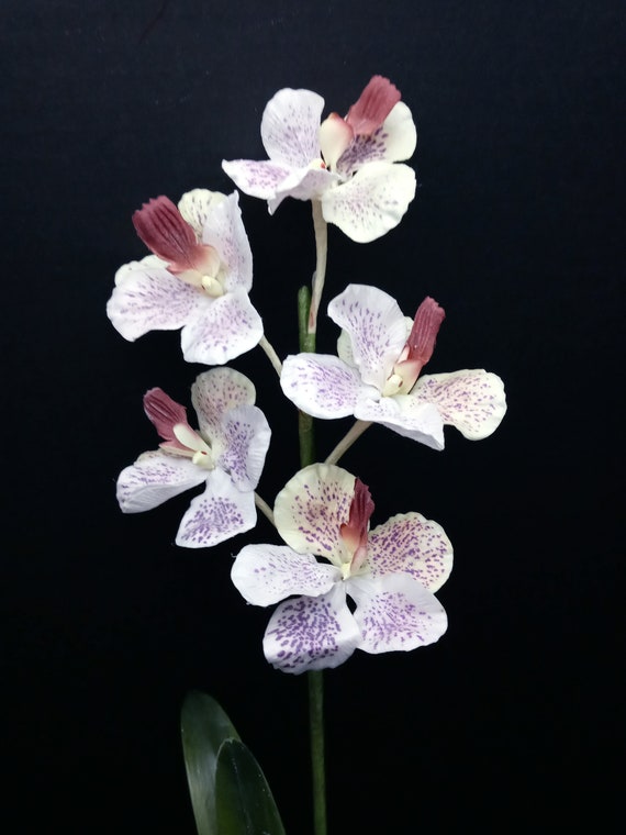 Planta de orquídea Vanda artificial de látex vintage en disco - Etsy México