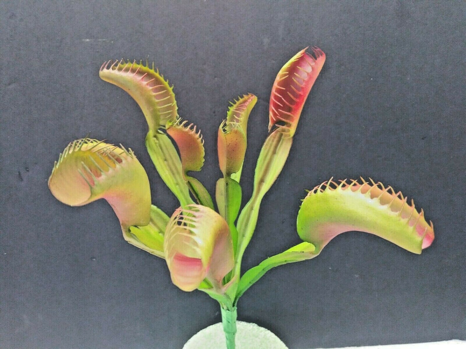Artificial Venus Fly Trap. Carnivorous Plants Silk Flowers Etsy