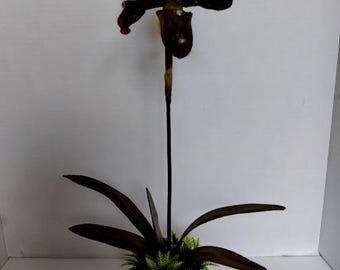 KONSTGJORD Paphiopedilum Lady Slipper Orkidé