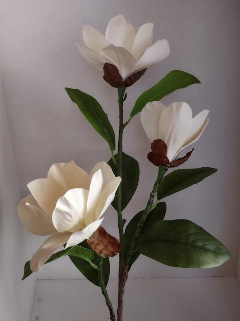 Puede incluir: Un ramo de tres flores blancas de magnolia con centros marrones. Las flores est&aacute;n dispuestas en un tallo con hojas verdes.