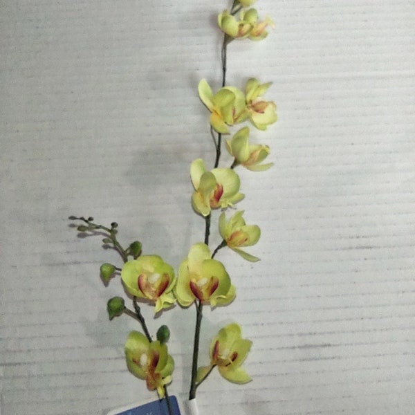 Mini cascata artificiale phalaenopsis orchidea stelo LIME VERDE