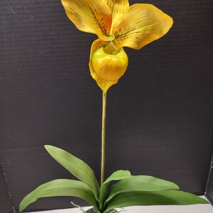 Large Artificial Paphiopedilum Lady Slipper Orchid on disc YELLOW image 4