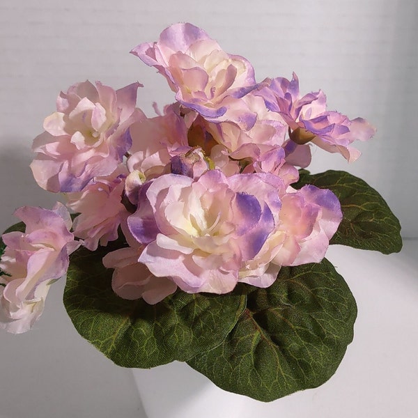 African Violet Pots Etsy