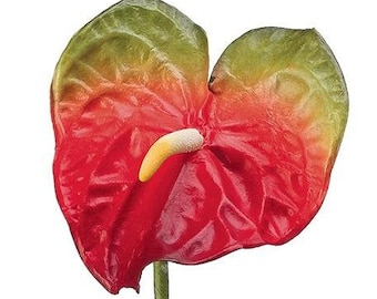 May include: A single red and green anthurium flower with a yellow spadix. The flower is heart-shaped and has a glossy finish.