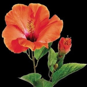 Artificial large Orange Hibiscus stem