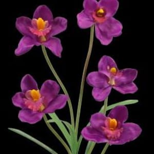 Artificial Cymbidium Orchid Stems