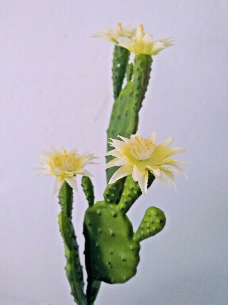 9 Artificial Flowering Cactus