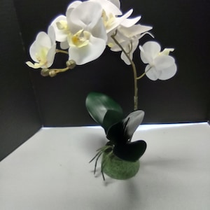 Artificial Phalaenopsis Orchid Plant, Silk Flowers WHITE