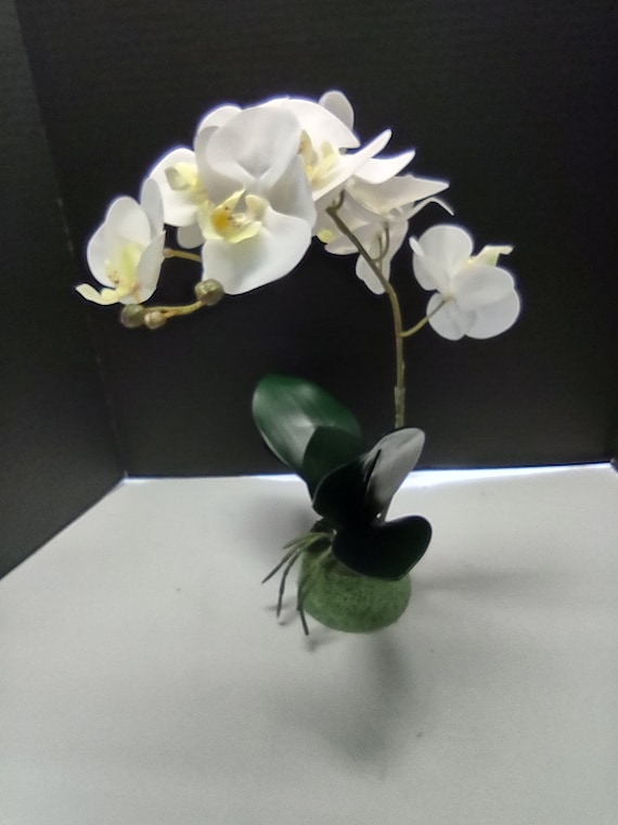 Plante dorchidée Phalaenopsis artificielle fleurs de soie - Etsy France