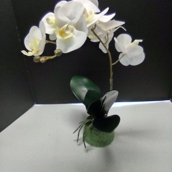 Planta de orquídea Phalaenopsis artificial, flores de seda BLANCO