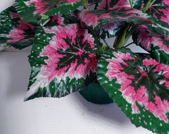 Artificial Wax Begonia Plant - Etsy