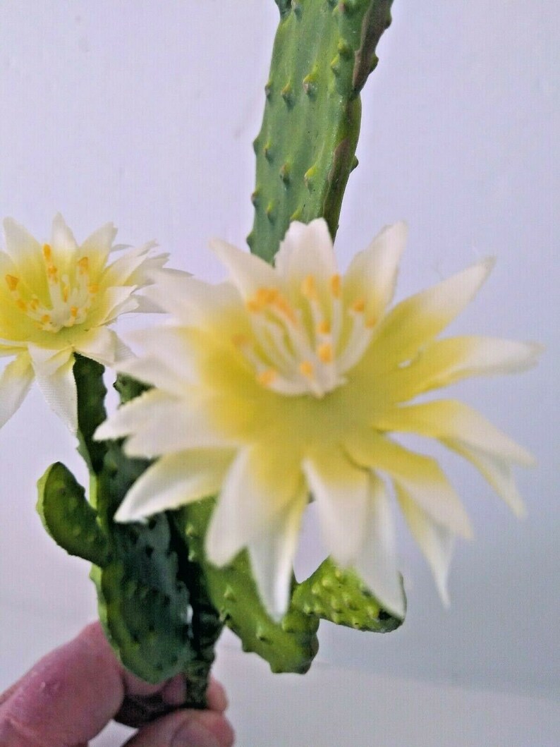 9 Artificial Flowering Cactus