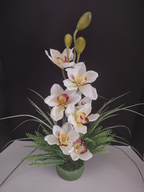 https://i.etsystatic.com/8369599/r/il/f8932a/3870157489/il_570xN.3870157489_9w9x.jpg