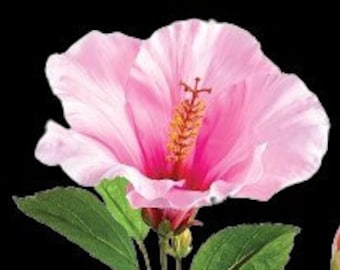 May include: A pink hibiscus flower with a yellow centre and green leaves.