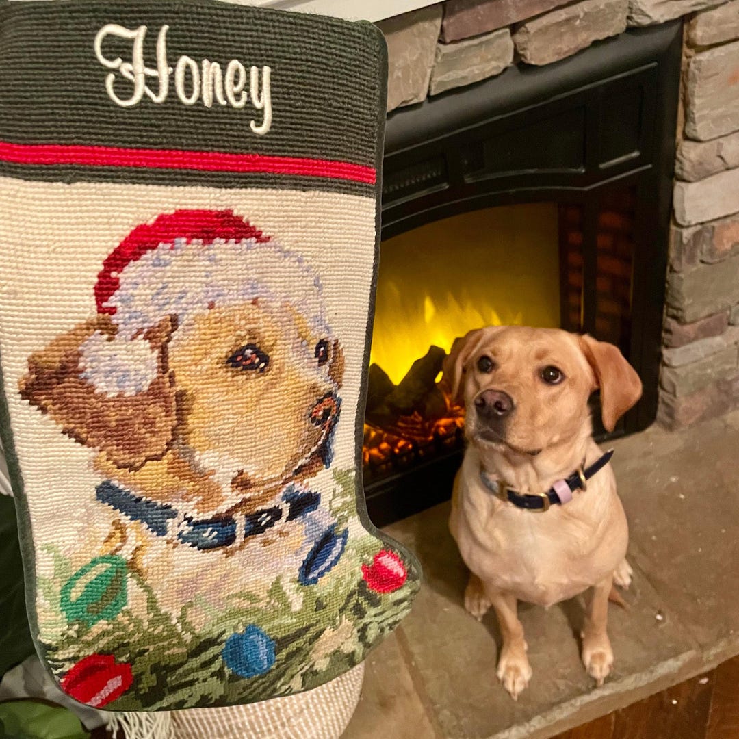 Yellow Lab Dog Stocking Personalized Needlepoint Christmas Stockings