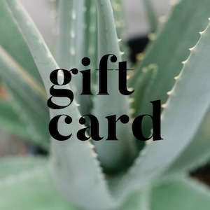 May include: A close-up of a green succulent plant with the text "gift card" in black letters.
