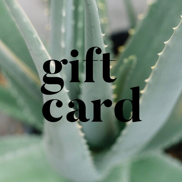 Ginger and Pearl Jewelry 50.00 Gift Card | Ethical Jewelry | Sustainable Jewelry | Slow Fashion