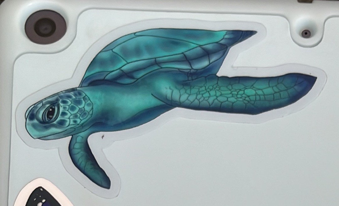 Turtle Sticker - Etsy
