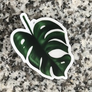 Monstera plant sticker