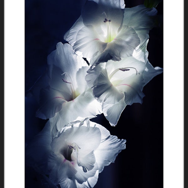 Geometric Nature Print Digital Download - Etsy - Geometric Nature Print