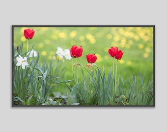 Samsung Frame TV Art Summer Flowers Photo - Tulips in Spring Variation 3 - Digital Download -  Art Photography - Frame TV Art - Modern