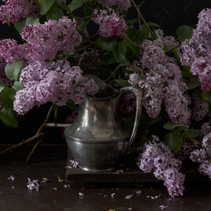 Lilac - Still Life Photography - Photo Print - Art Photography (VLDR02)