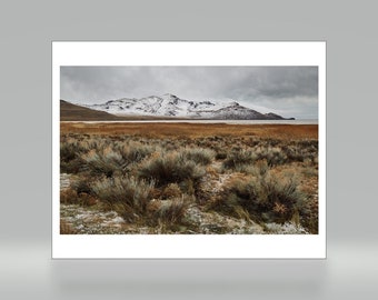 Antelope Island - Salt Lake City - Utah - Color Photo Print - Fine Art Photography (SLC01)