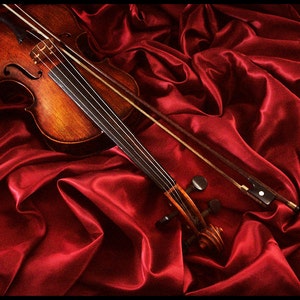 Violin - Still Life Photography - Photo Print - Art Photography (VLDR01)
