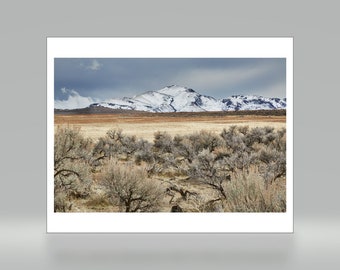 Antelope Island - Salt Lake City - Utah - Color Photo Print - Fine Art Photography (SLC07)