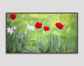 Samsung Frame Spring Flowers Summer Photo - Tulips in Spring Variation 2 - Digital Download -  Art Photography - Frame TV Art - Home Decor