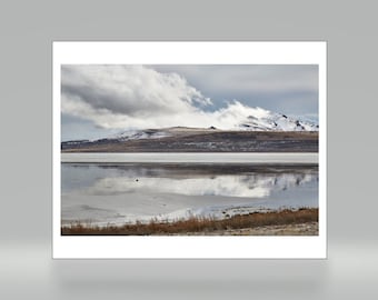 Antelope Island - Salt Lake City - Utah - Color Photo Print - Fine Art Photography (SLC06)