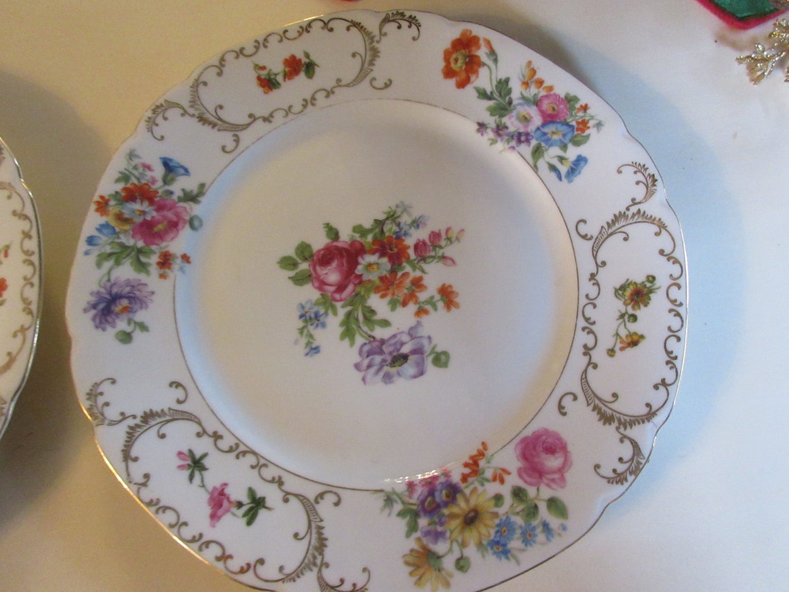 CZECHOSLOVAKIA VICTORIA DINNER Plates Etsy