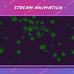 Puede incluir: Un fondo morado con el texto "STREAM ANIMATION" en letras blancas. El fondo está lleno de formas de hojas de marihuana verdes que están animadas y en movimiento.