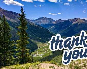 Thank You Cards - Variety 5-Pack