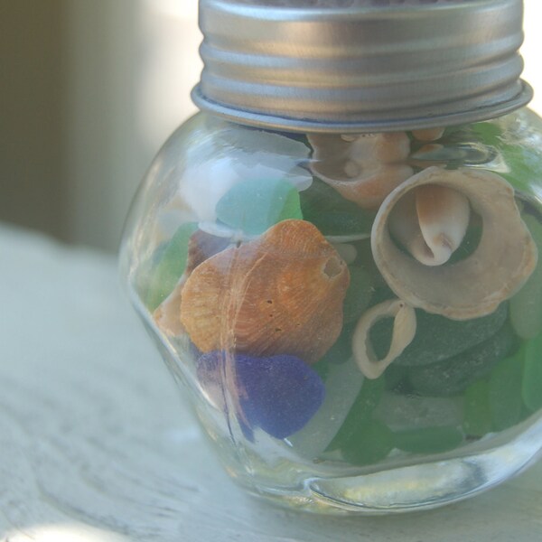 Glass trinket jar filled with Sea Glass and extremely unique shells from the Northern California Coast